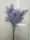 خمس زوايا details Picture